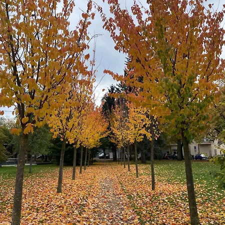 Kralovske Apartma Kolonada Lejlighed