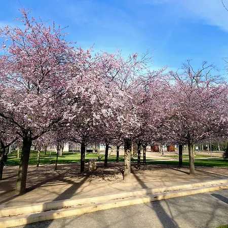 Kralovske Apartma Kolonada דירה פודבראדי