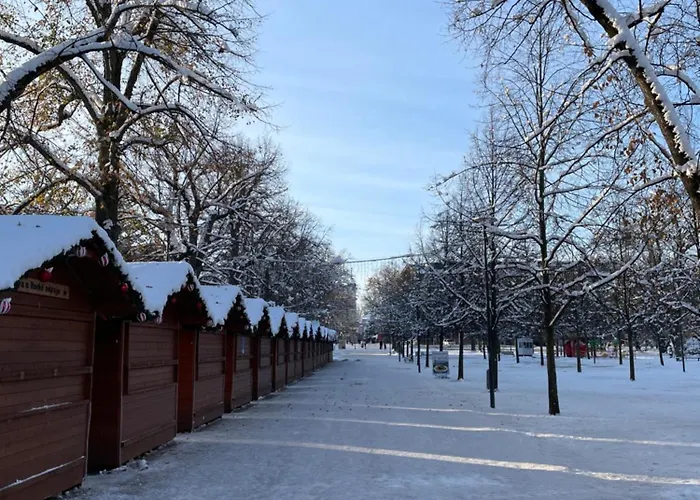 Kralovske Apartma Kolonada * Poděbrady