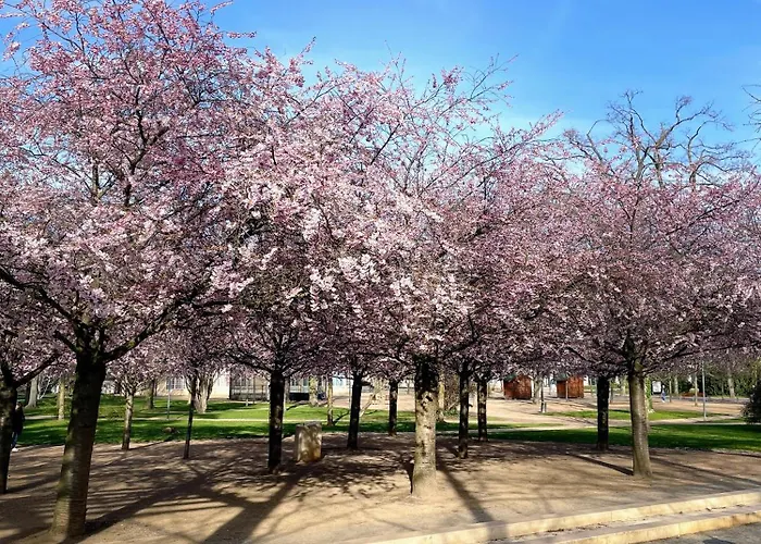 Kralovske Apartma Kolonada Lägenhet Poděbrady